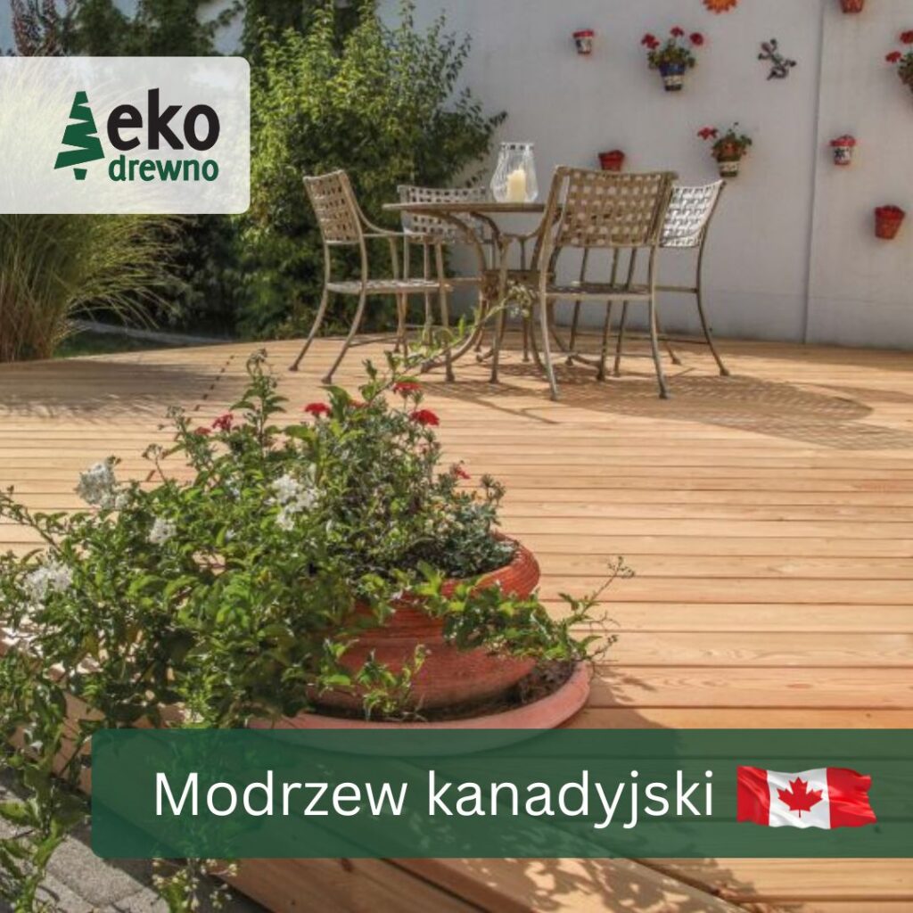 Deska tarasowa modrzew kanadyjski EKODREWNO (1) Deska tarasowa modrzew kanadyjski EKODREWNO (1)